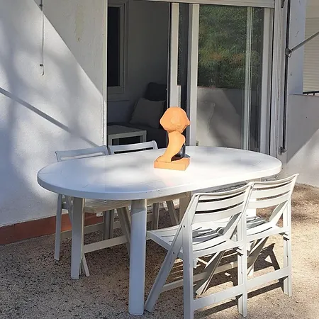 Bosmar41 * פאלס
